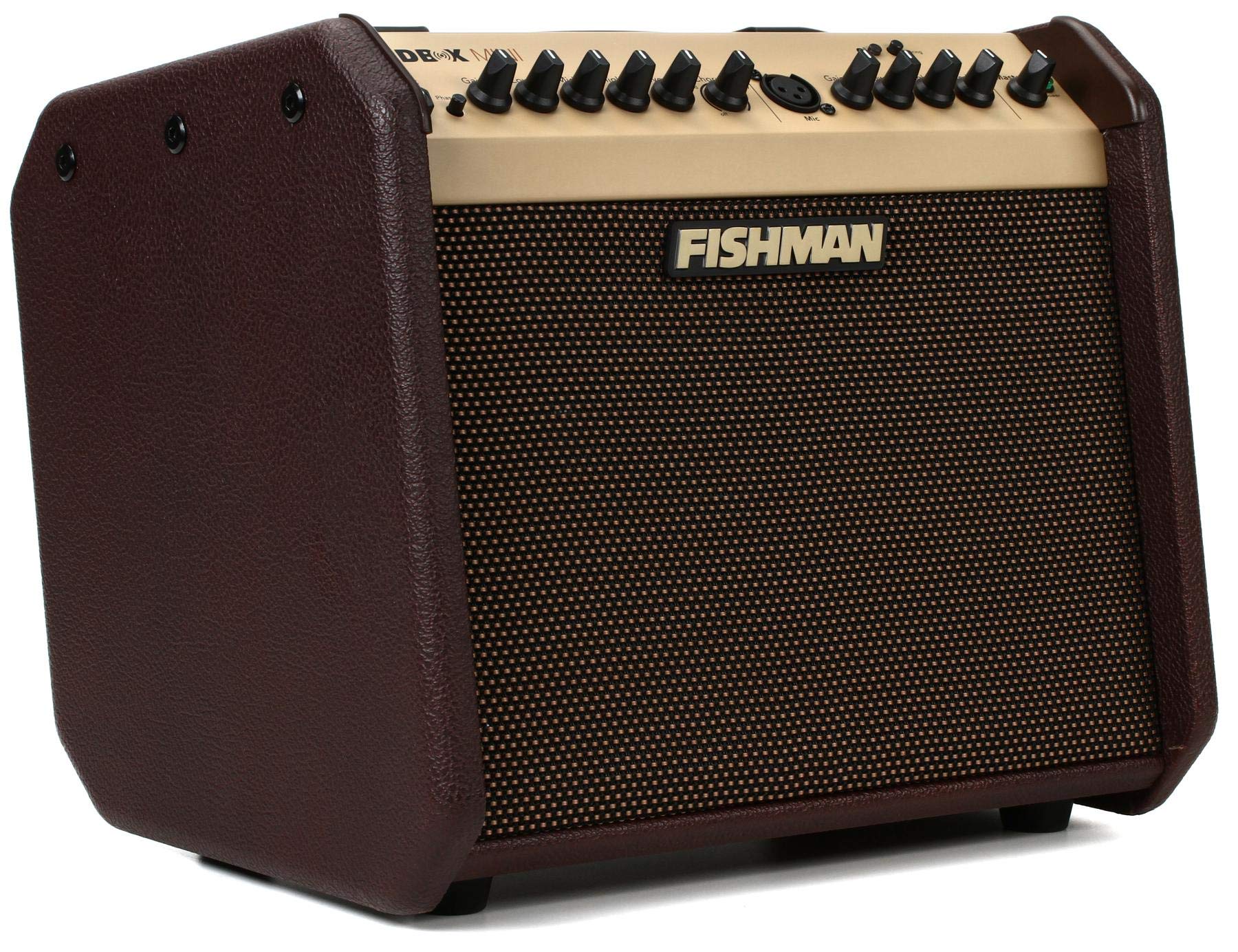 Fishman Loudbox Mini BT 60-Watt 1x6.5 ?nç Akustik Kombo...