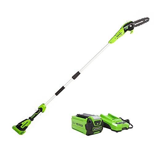 GreenWorks 40V 8-Inch Cordless Polesaw, 2.0Ah Ba...