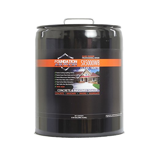 Foundation Armor 5-Gal. SX5000 WB DOT Onayl? Su Bazl? S...