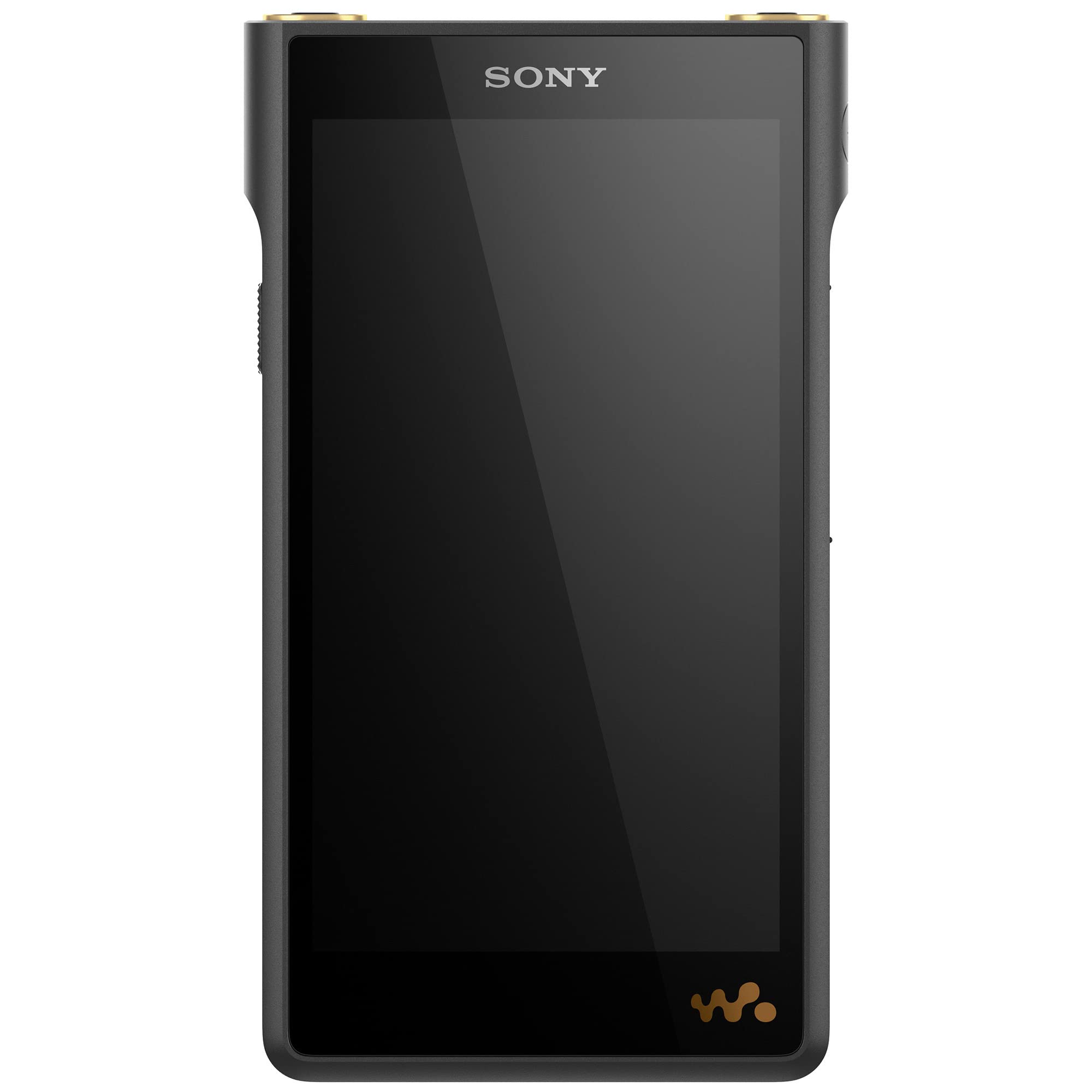 Sony NW-WM1AM2 Yüksek Çözünürlüklü 128 GB Walkman Dijit...