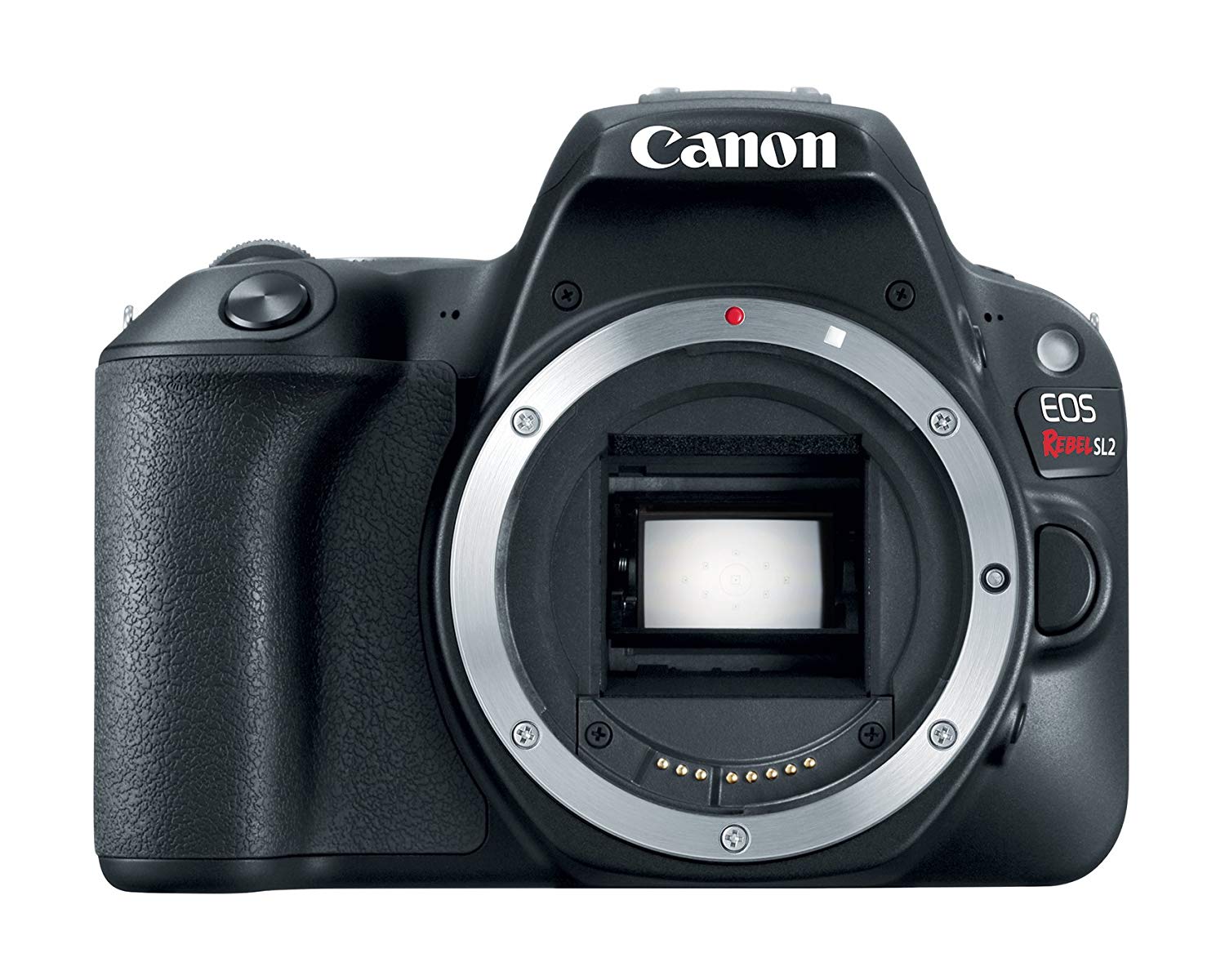 Canon EOS Rebel SL2 Dijital SLR Kamera Gövdesi - WiFi E...