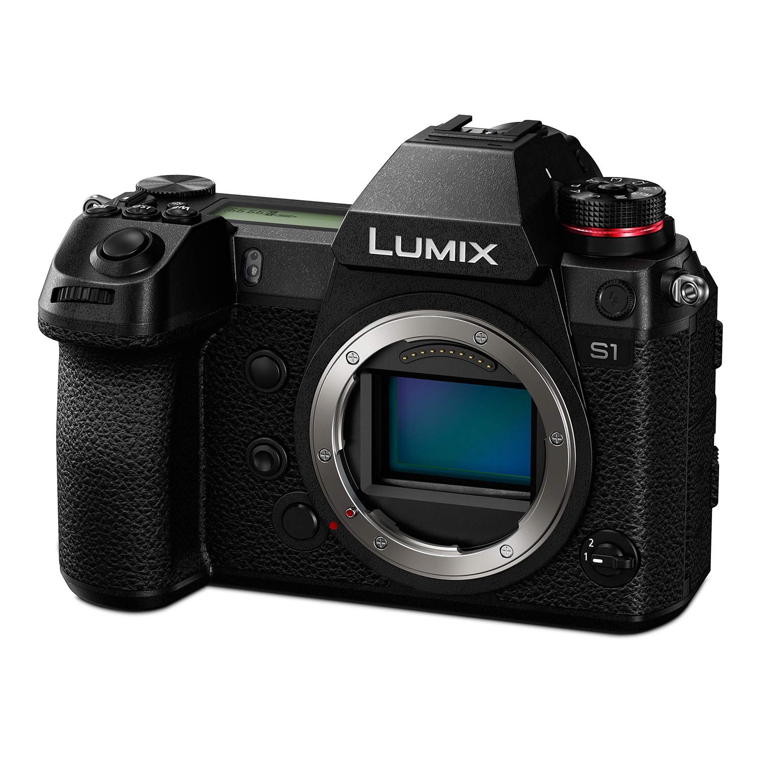 Panasonic LUMIX DC-S1 Aynas?z Dijital Kamera Gövdesi